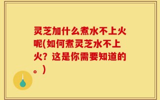 灵芝加什么煮水不上火呢(如何煮灵芝水不上火？这是你需要知道的。)