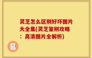 灵芝怎么区别好坏图片大全集(灵芝鉴别攻略：高清图片全解析)