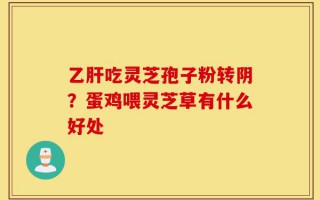 乙肝吃灵芝孢子粉转阴？蛋鸡喂灵芝草有什么好处