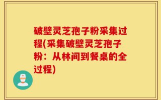 破壁灵芝孢子粉采集过程(采集破壁灵芝孢子粉：从林间到餐桌的全过程)