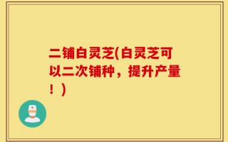 二铺白灵芝(白灵芝可以二次铺种，提升产量！)