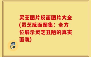 灵芝图片反面图片大全(灵芝反面图集：全方位展示灵芝丑陋的真实面貌)