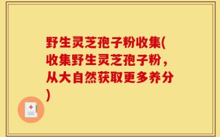 野生灵芝孢子粉收集(收集野生灵芝孢子粉，从大自然获取更多养分)