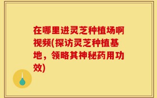 在哪里进灵芝种植场啊视频(探访灵芝种植基地，领略其神秘药用功效)