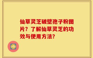 仙草灵芝破壁孢子粉图片？了解仙草灵芝的功效与使用方法？