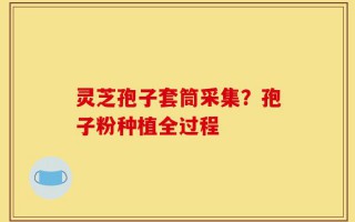 灵芝孢子套筒采集？孢子粉种植全过程