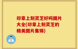 印章上刻灵芝好吗图片大全(印章上刻灵芝的精美图片集锦)