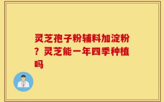 灵芝孢子粉辅料加淀粉？灵芝能一年四季种植吗