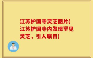 江苏护国寺灵芝图片(江苏护国寺内发现罕见灵芝，引人瞩目)