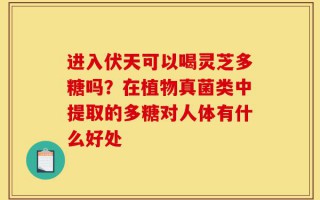 进入伏天可以喝灵芝多糖吗？在植物真菌类中提取的多糖对人体有什么好处