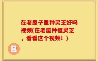 在老屋子里种灵芝好吗视频(在老屋种植灵芝，看看这个视频！)