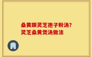桑黄跟灵芝孢子粉汤？灵芝桑黄煲汤做法