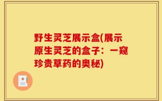 野生灵芝展示盒(展示原生灵芝的盒子：一窥珍贵草药的奥秘)