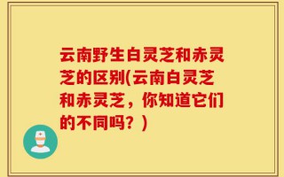 云南野生白灵芝和赤灵芝的区别(云南白灵芝和赤灵芝，你知道它们的不同吗？)