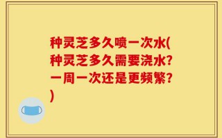 种灵芝多久喷一次水(种灵芝多久需要浇水？一周一次还是更频繁？)