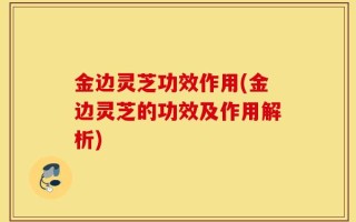 金边灵芝功效作用(金边灵芝的功效及作用解析)
