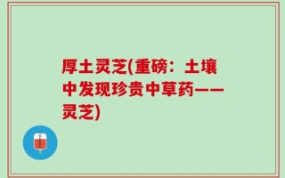厚土灵芝(重磅：土壤中发现珍贵中草药——灵芝)