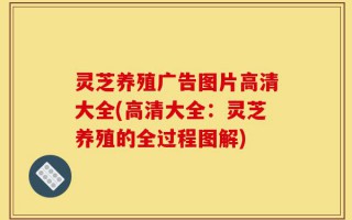 灵芝养殖广告图片高清大全(高清大全：灵芝养殖的全过程图解)