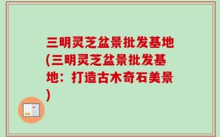 三明灵芝盆景批发基地(三明灵芝盆景批发基地：打造古木奇石美景)