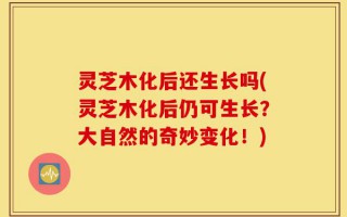 灵芝木化后还生长吗(灵芝木化后仍可生长？大自然的奇妙变化！)