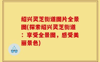 绍兴灵芝街道图片全景图(探索绍兴灵芝街道：享受全景图，感受美丽景色)