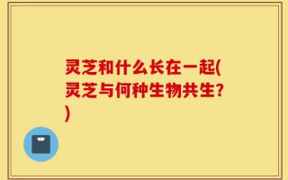 灵芝和什么长在一起(灵芝与何种生物共生？)