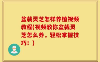 盆栽灵芝怎样养植视频教程(视频教你盆栽灵芝怎么养，轻松掌握技巧！)