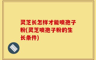 灵芝长怎样才能喷孢子粉(灵芝喷孢子粉的生长条件)