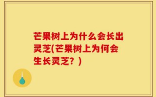 芒果树上为什么会长出灵芝(芒果树上为何会生长灵芝？)