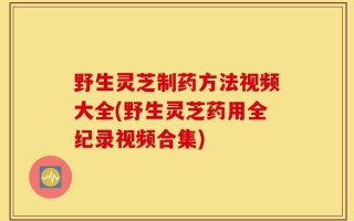 野生灵芝制药方法视频大全(野生灵芝药用全纪录视频合集)