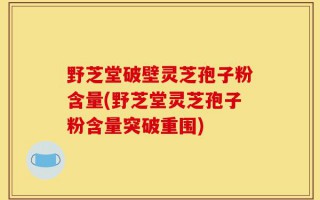 野芝堂破壁灵芝孢子粉含量(野芝堂灵芝孢子粉含量突破重围)