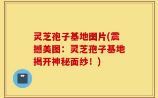 灵芝孢子基地图片(震撼美图：灵芝孢子基地揭开神秘面纱！)