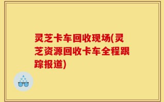 灵芝卡车回收现场(灵芝资源回收卡车全程跟踪报道)