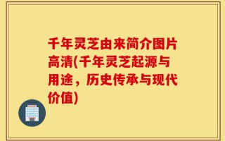 千年灵芝由来简介图片高清(千年灵芝起源与用途，历史传承与现代价值)