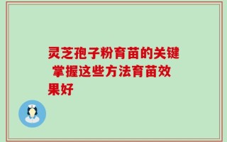 灵芝孢子粉育苗的关键 掌握这些方法育苗效果好