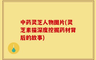中药灵芝人物图片(灵芝素描深度挖掘药材背后的故事)