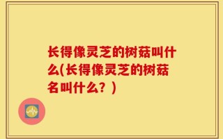 长得像灵芝的树菇叫什么(长得像灵芝的树菇名叫什么？)