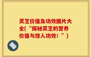 灵芝价值及功效图片大全(“探秘灵芝的营养价值与惊人功效！”)