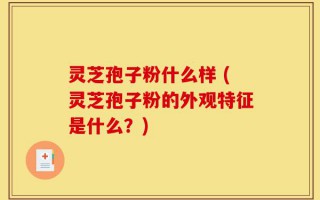 灵芝孢子粉什么样 (灵芝孢子粉的外观特征是什么？)