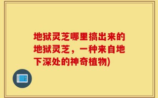 地狱灵芝哪里搞出来的地狱灵芝，一种来自地下深处的神奇植物)