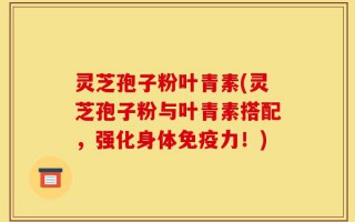 灵芝孢子粉叶青素(灵芝孢子粉与叶青素搭配，强化身体免疫力！)