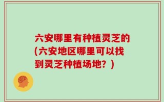 六安哪里有种植灵芝的(六安地区哪里可以找到灵芝种植场地？)