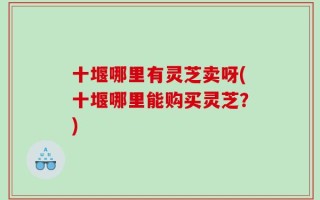 十堰哪里有灵芝卖呀(十堰哪里能购买灵芝？)