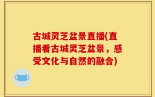 古城灵芝盆景直播(直播看古城灵芝盆景，感受文化与自然的融合)