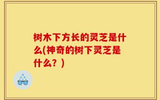 树木下方长的灵芝是什么(神奇的树下灵芝是什么？)
