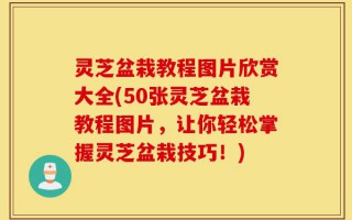 灵芝盆栽教程图片欣赏大全(50张灵芝盆栽教程图片，让你轻松掌握灵芝盆栽技巧！)