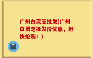 广州白灵芝批发(广州白灵芝批发价优惠，赶快抢购！)