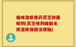 猫咪湿疹用药灵芝抑菌喷剂(灵芝喷剂缓解毛孩湿疹保健没烦恼)