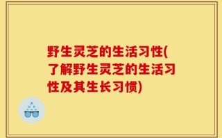 野生灵芝的生活习性(了解野生灵芝的生活习性及其生长习惯)