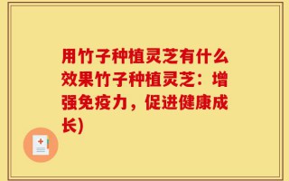 用竹子种植灵芝有什么效果竹子种植灵芝：增强免疫力，促进健康成长)